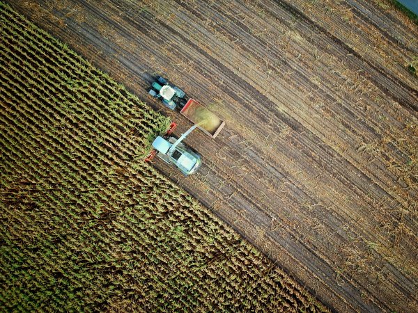 How Are AI-Enhanced Tools Shaping the Future of Precision Agriculture in the UK?